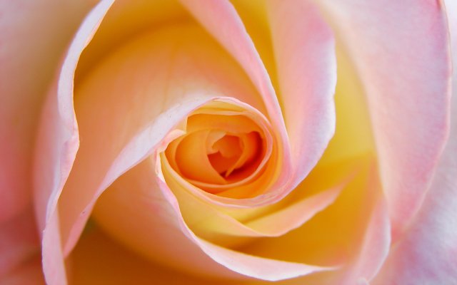 Titebild