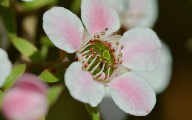 Titebild
