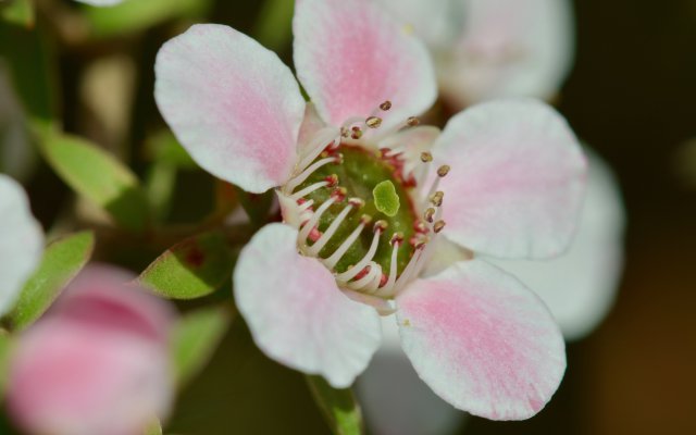 Titebild